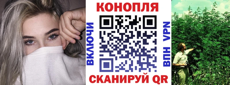 Купить где  Почеп  Бошки Шишки AK-47 